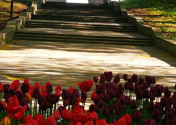 Апартаменты Sympatia Etna Polonia 718